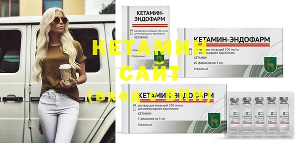 индика Богородск
