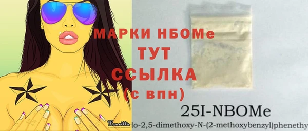 индика Богородск