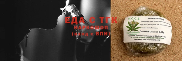 индика Богородск