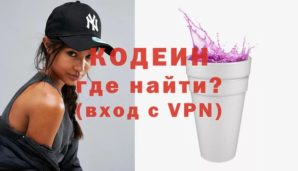 индика Богородск