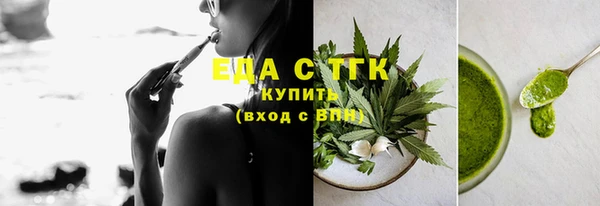 индика Богородск