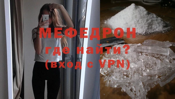 индика Богородск