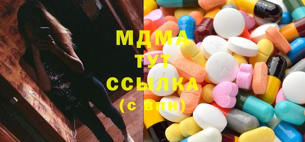 индика Богородск