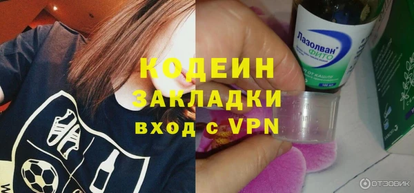 индика Богородск