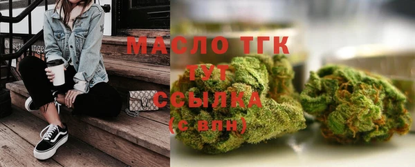 твердый Бородино