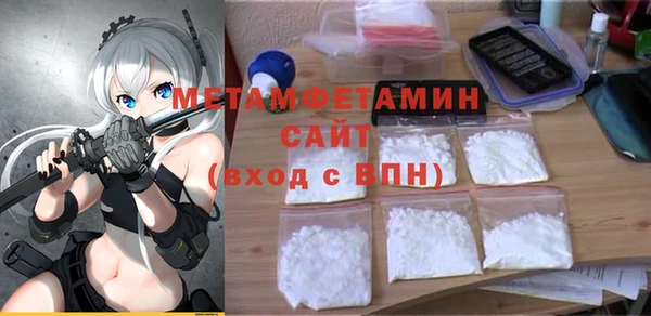 индика Богородск