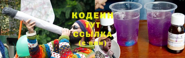 индика Богородск