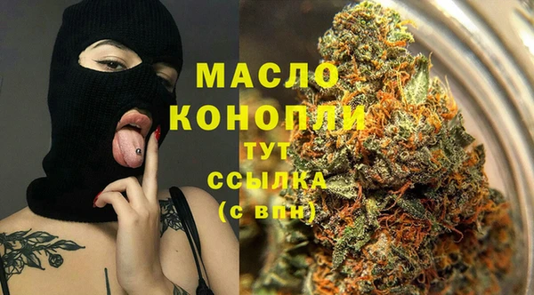 индика Богородск